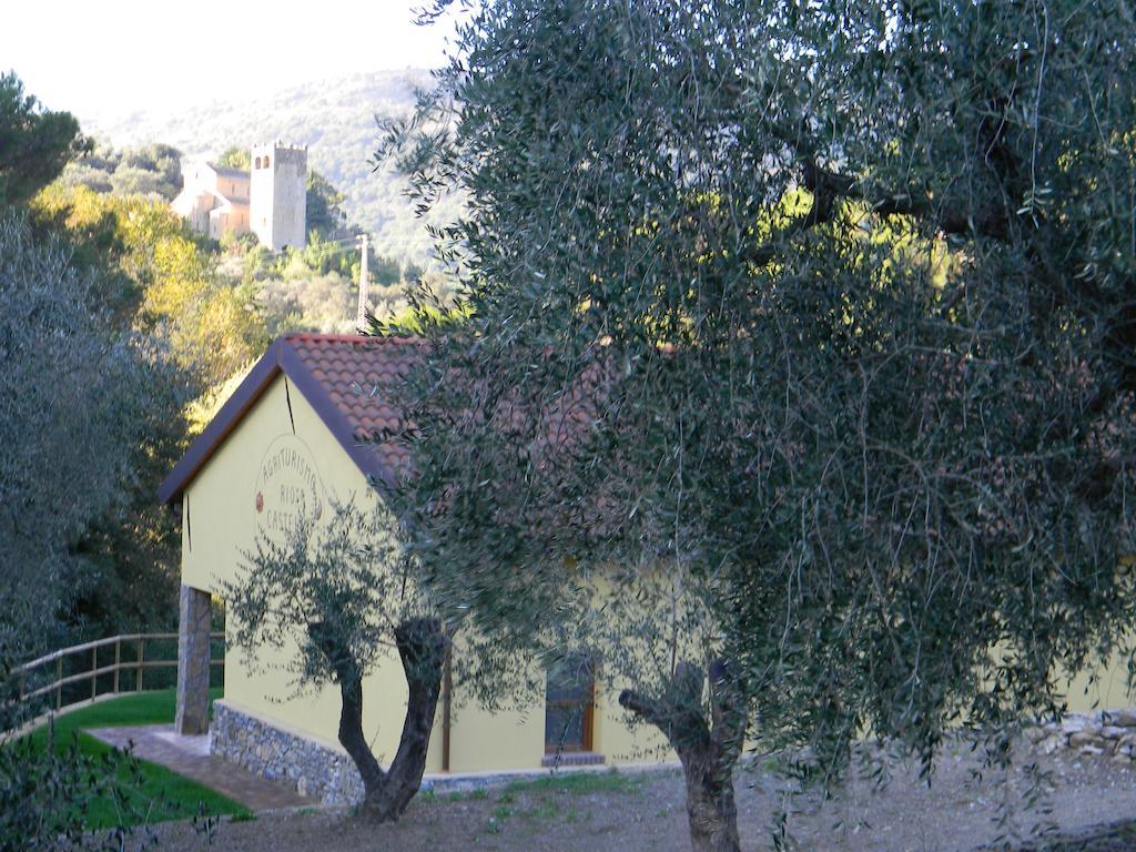 Agriturismo Rio Castello Andora Ngoại thất bức ảnh